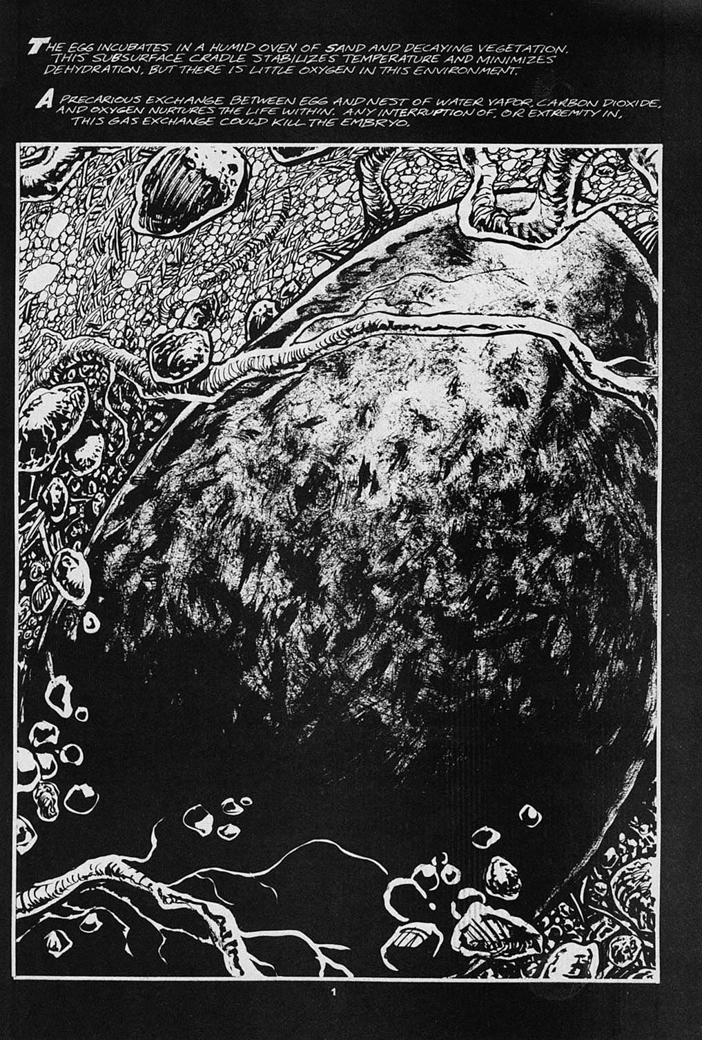 Read online S.R. Bissette's Tyrant comic -  Issue #3 - 3