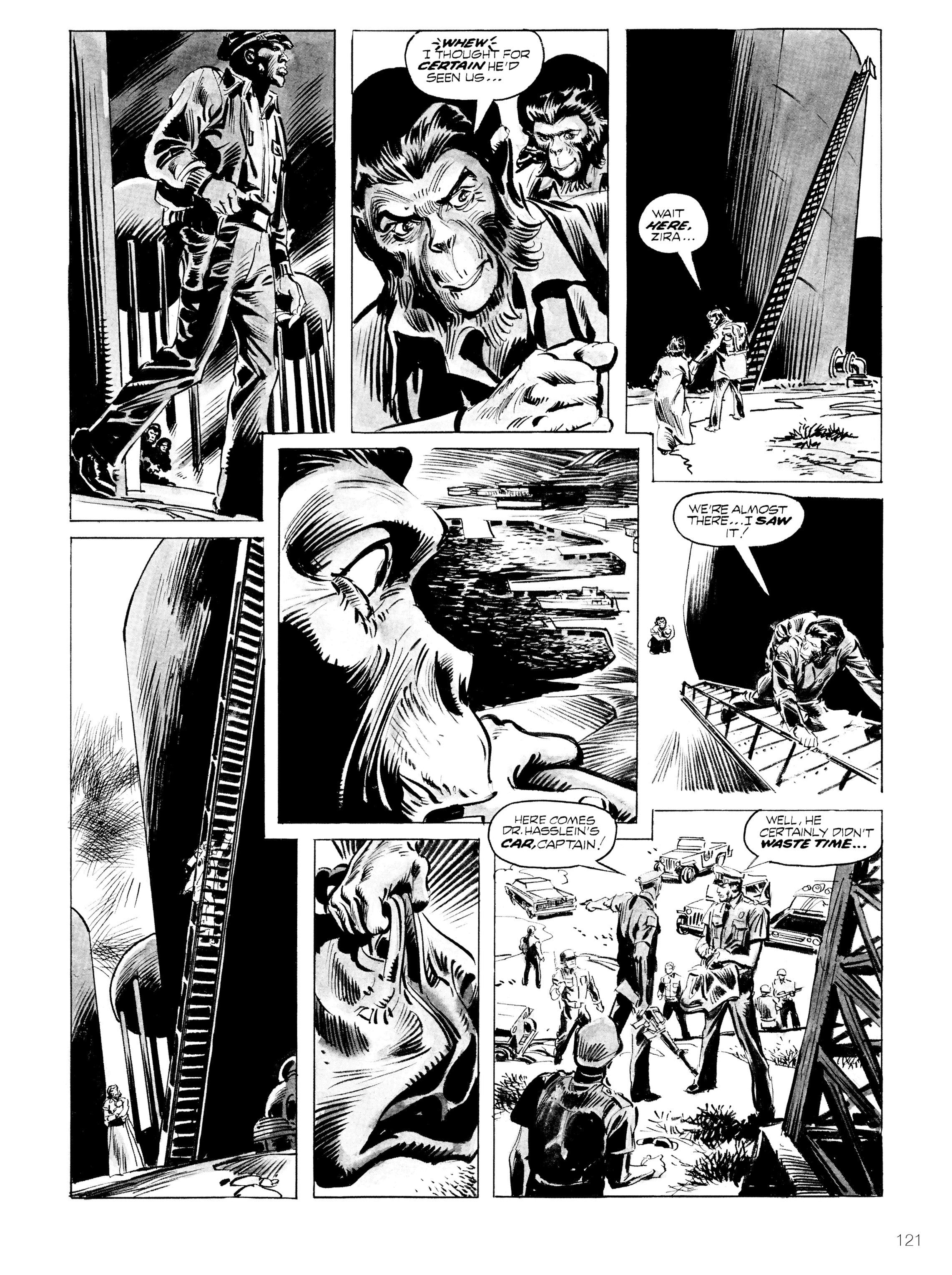 Read online Planet of the Apes: Archive comic -  Issue # TPB 3 (Part 2) - 19