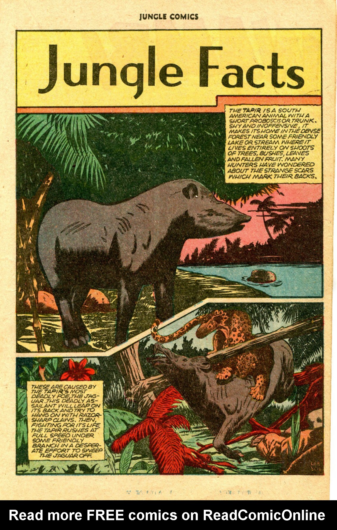 Read online Jungle Comics comic -  Issue #75 - 19