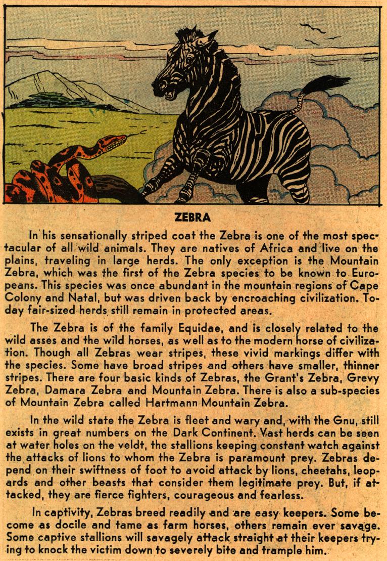 Read online Adventures of the Jaguar comic -  Issue #1 - 26