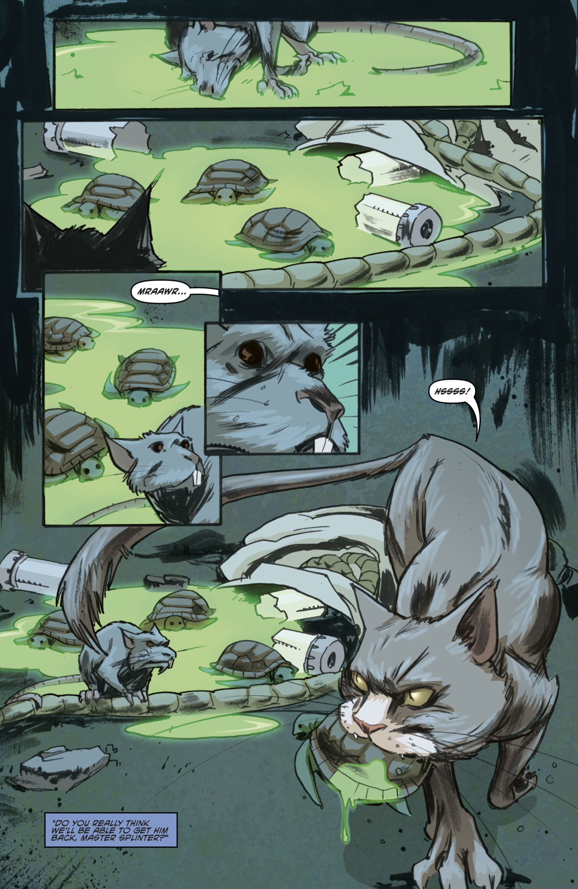 Read online Teenage Mutant Ninja Turtles (2011) comic -  Issue #2 - 22