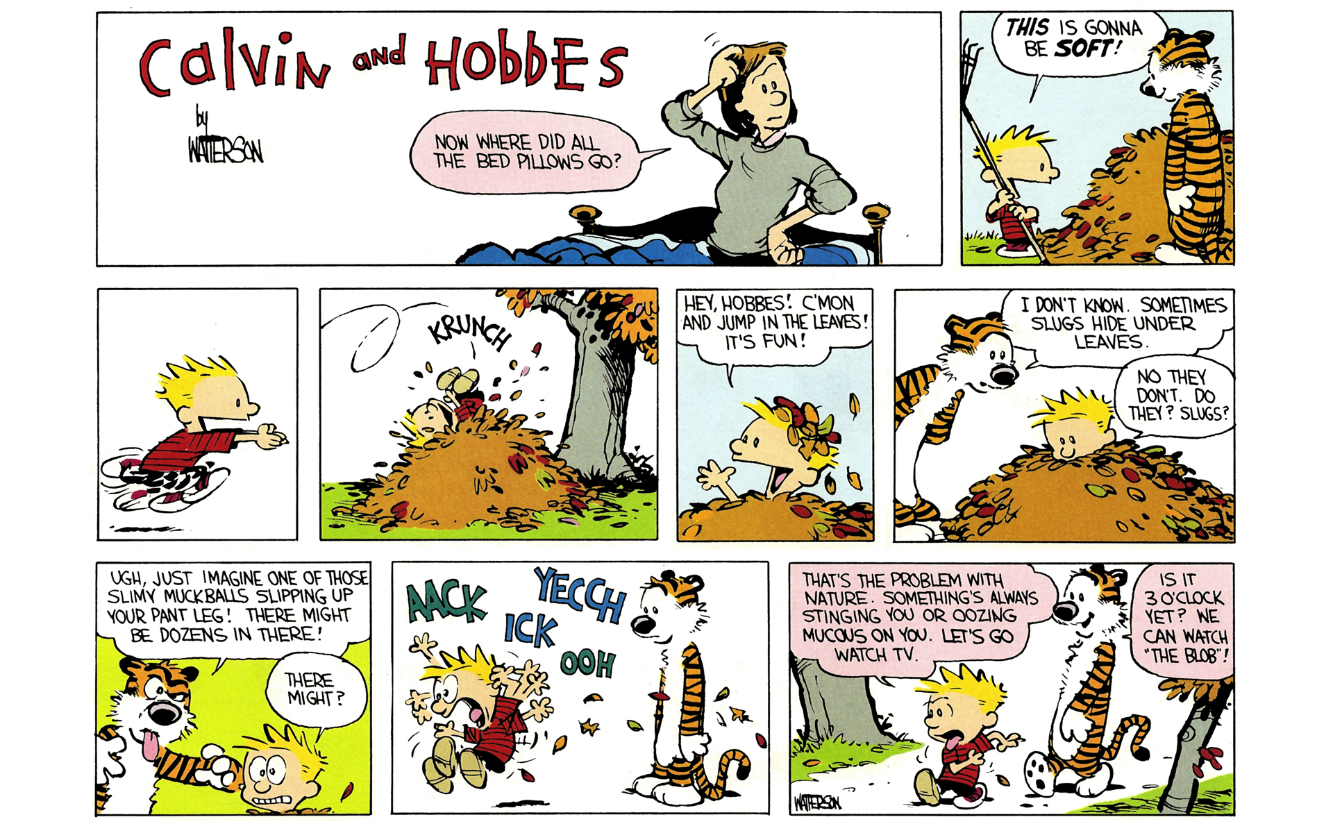 Read online Calvin and Hobbes comic -  Issue #2 - 41