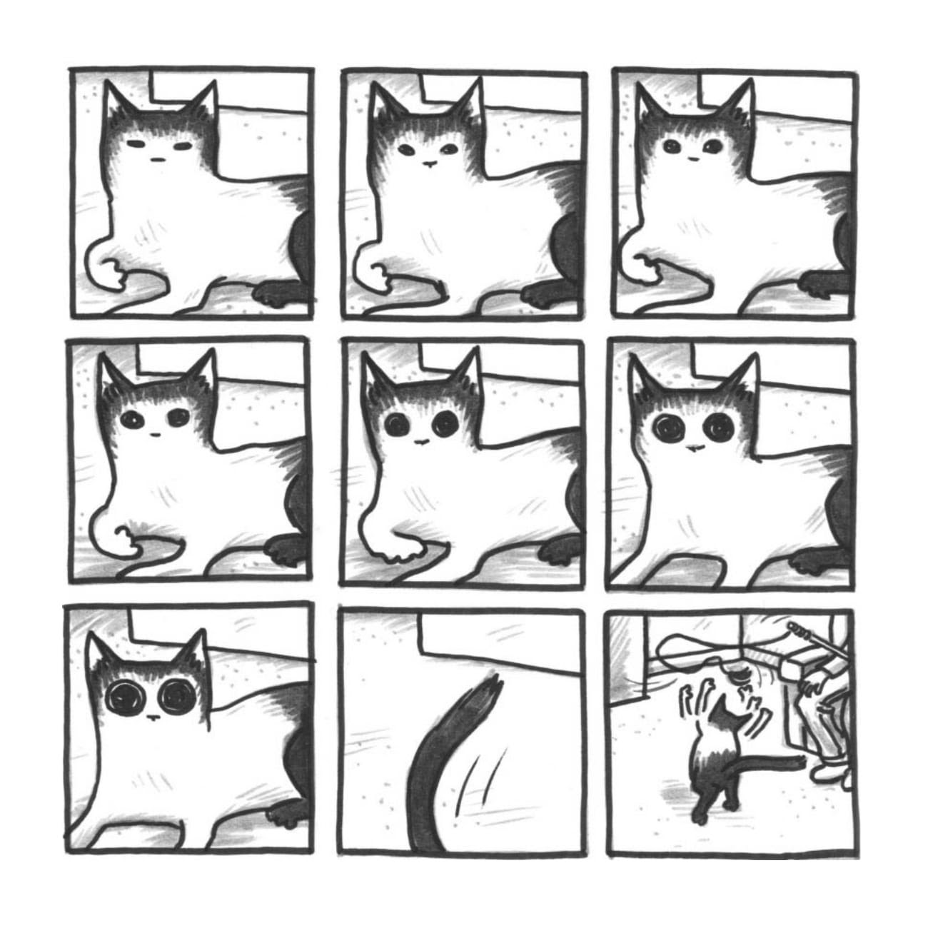 Read online Cats are Weird and More Observations comic -  Issue # TPB - 98