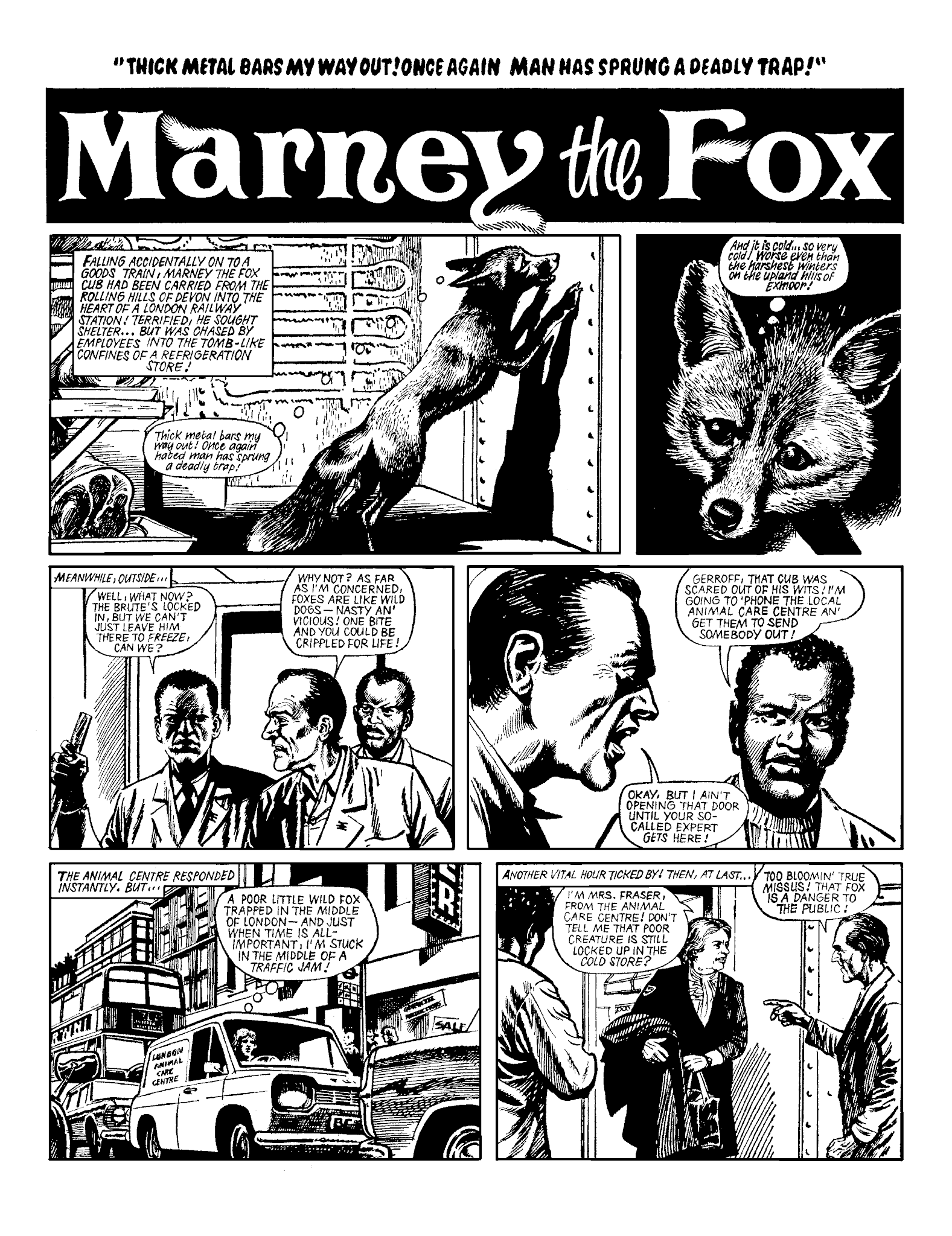 Read online Marney the Fox comic -  Issue # TPB (Part 2) - 50