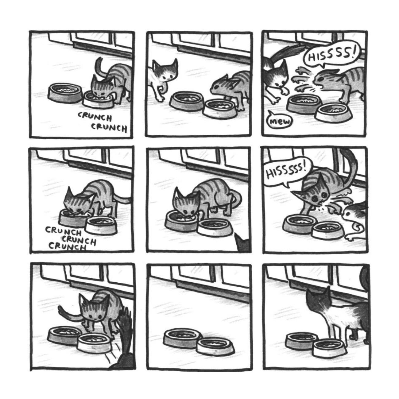 Read online Cats are Weird and More Observations comic -  Issue # TPB - 78