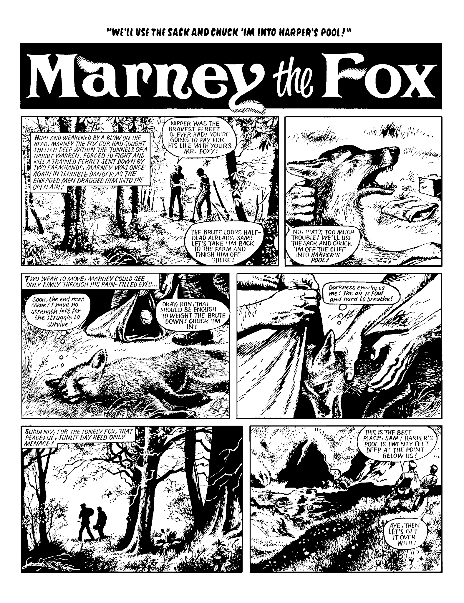 Read online Marney the Fox comic -  Issue # TPB (Part 2) - 32