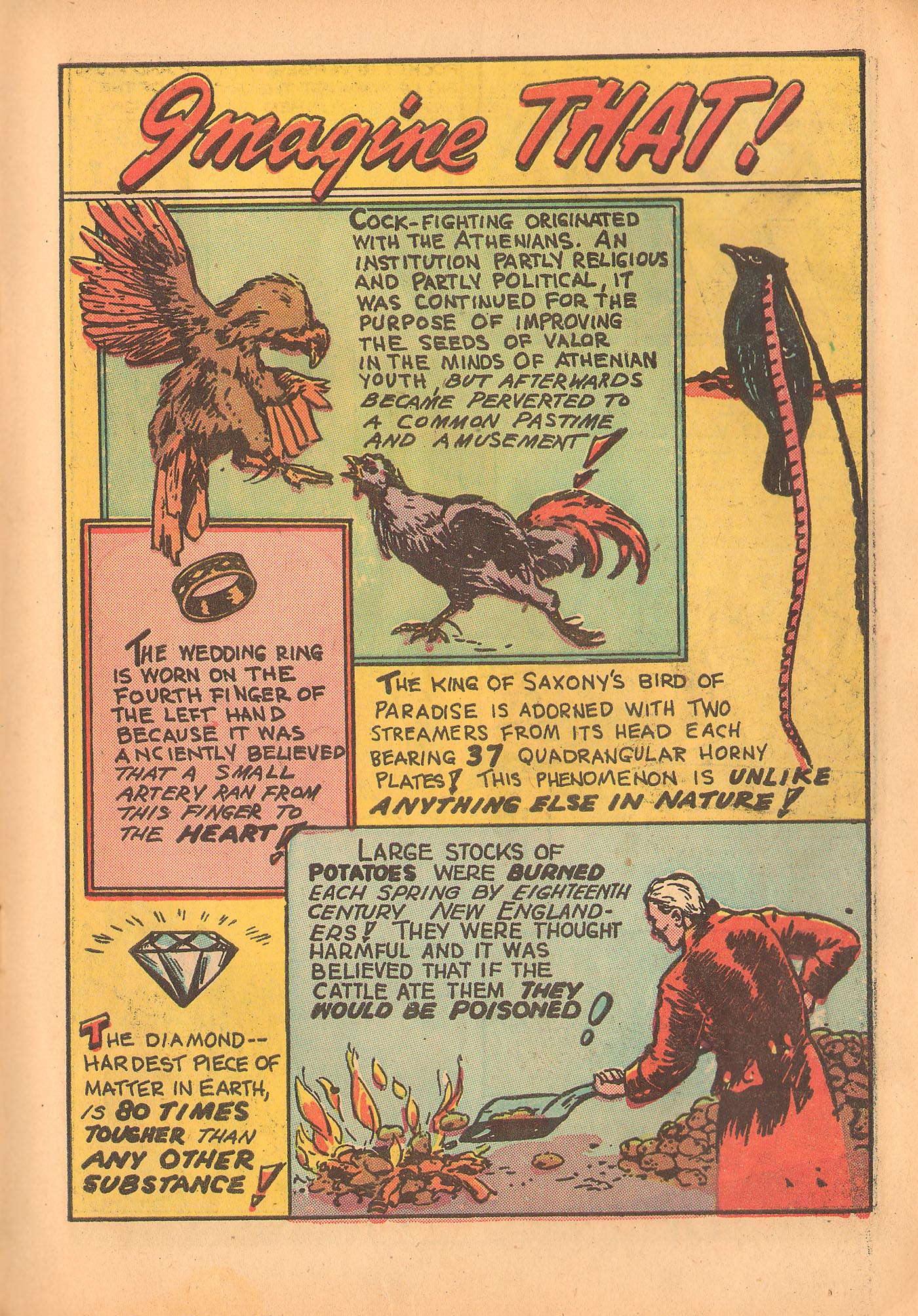 Read online Rocket Kelly (1945) comic -  Issue #4 - 13