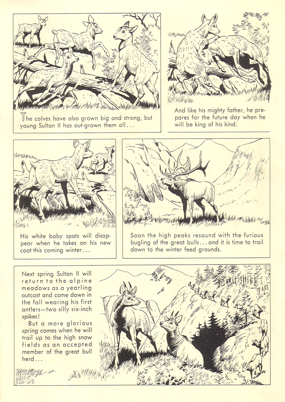 Read online Four Color Comics comic -  Issue #700 - 35