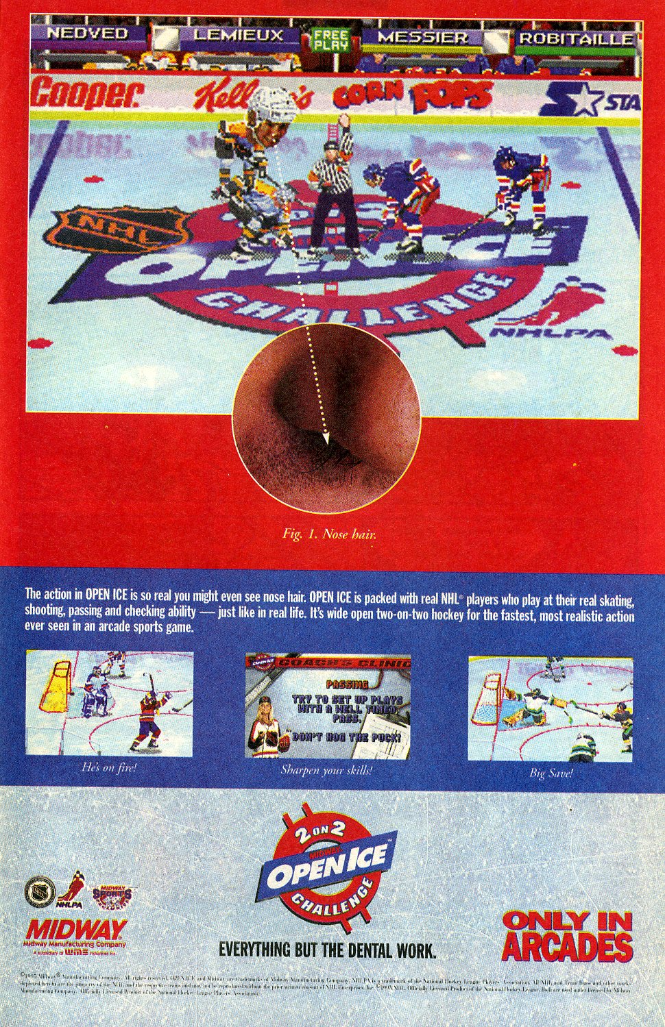 Read online Animaniacs comic -  Issue #9 - 24