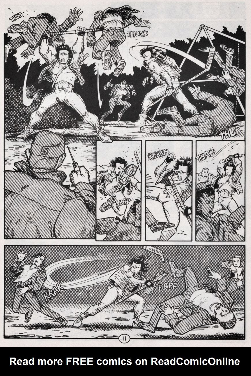 Teenage Mutant Ninja Turtles (1984) Issue #48 #48 - English 12