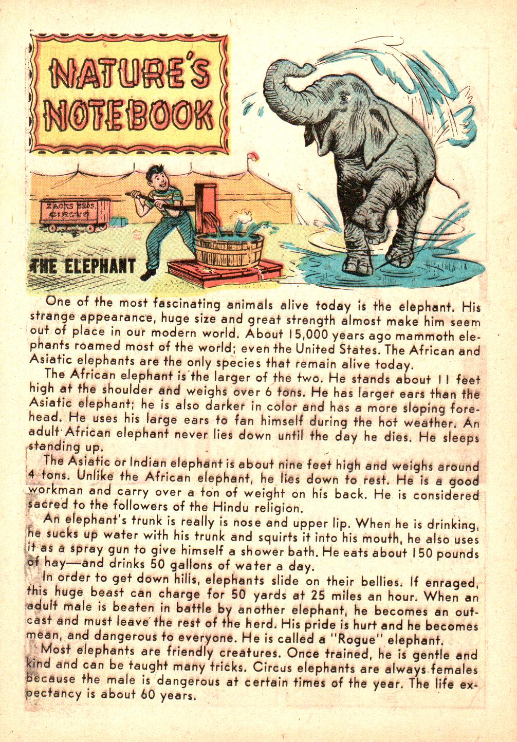Read online Little Archie (1956) comic -  Issue #3 - 86