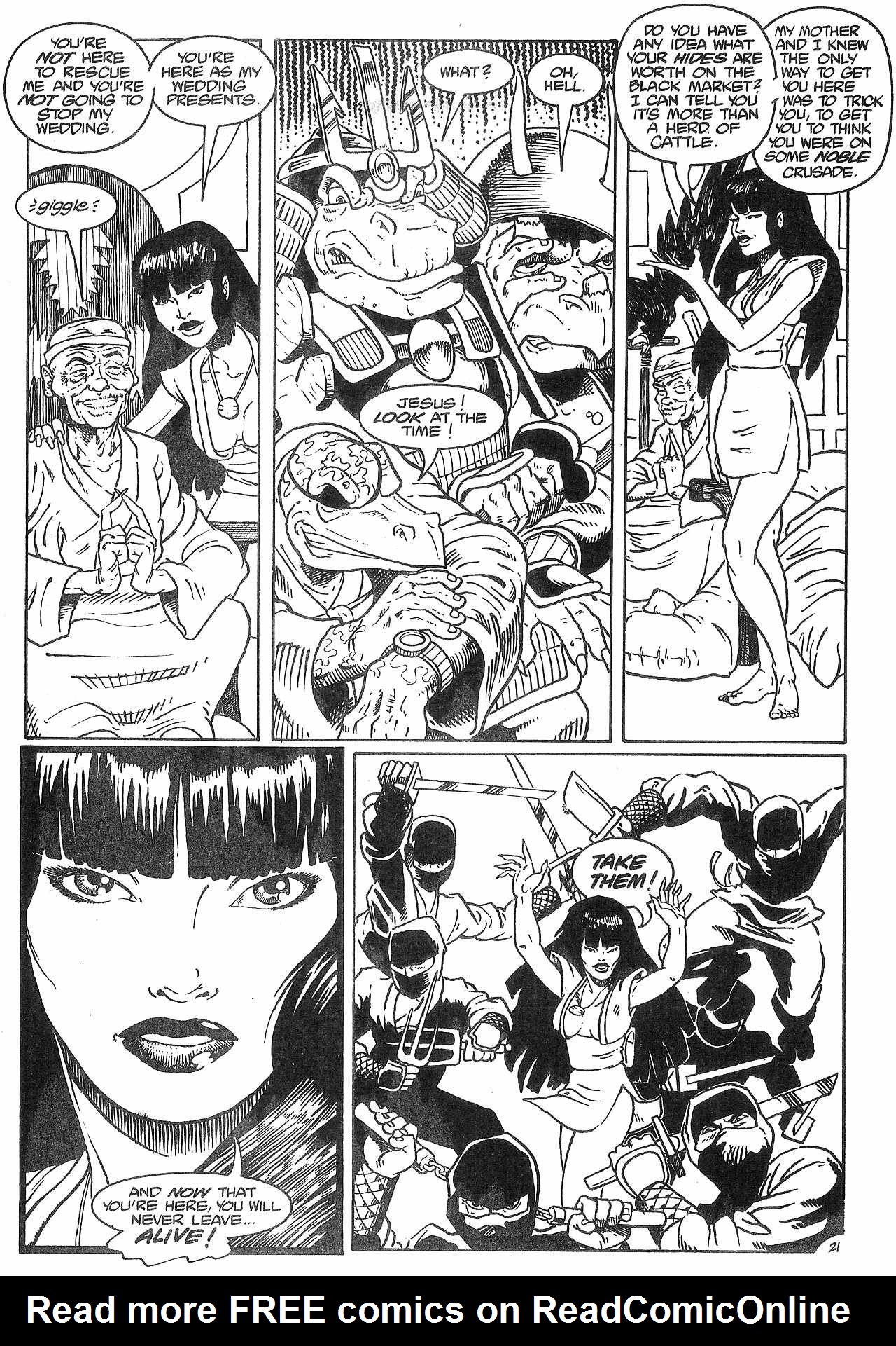 Read online Dinosaurs For Hire (1988) comic -  Issue #8 - 23