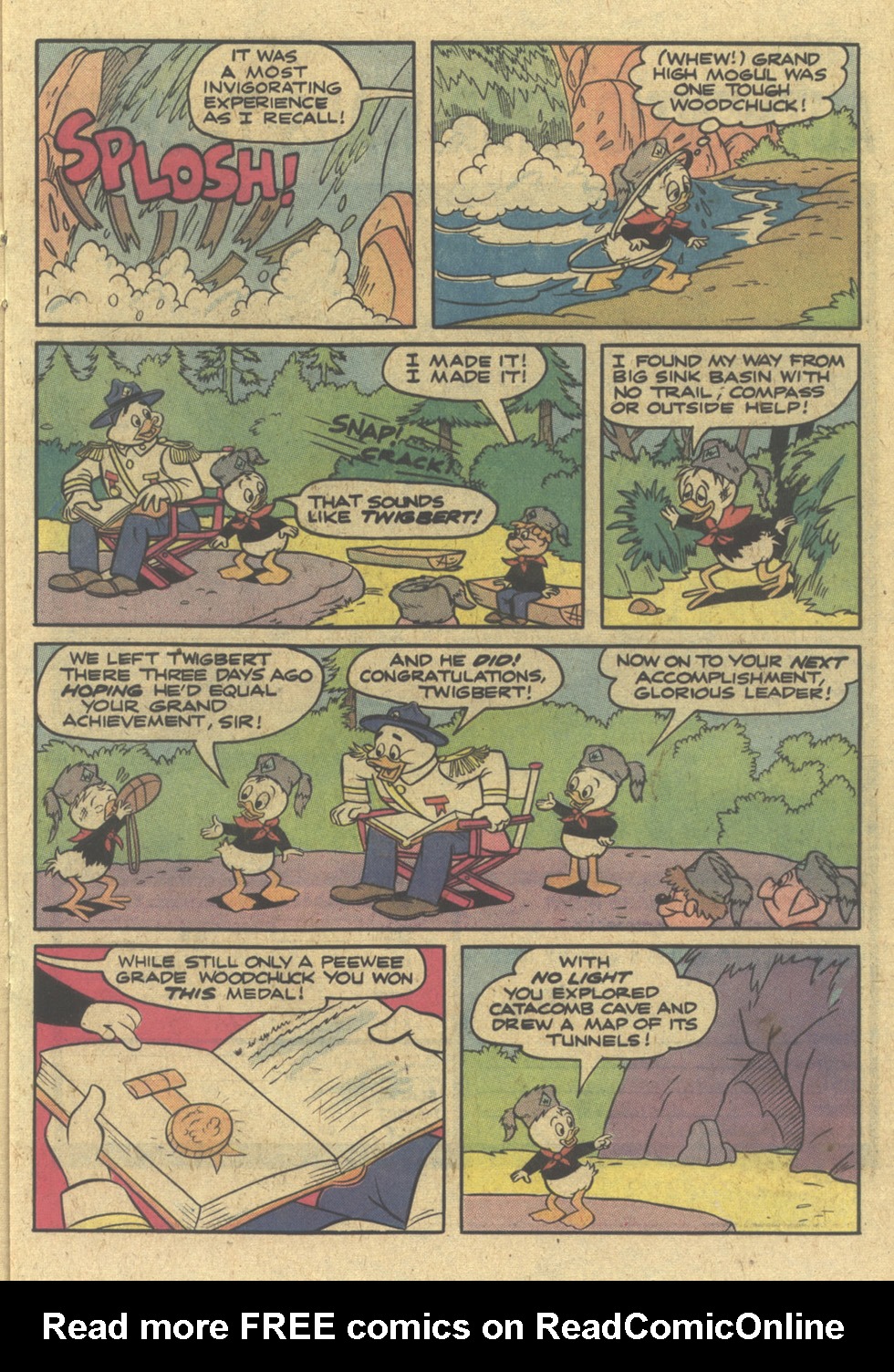 Read online Huey, Dewey, and Louie Junior Woodchucks comic -  Issue #49 - 17