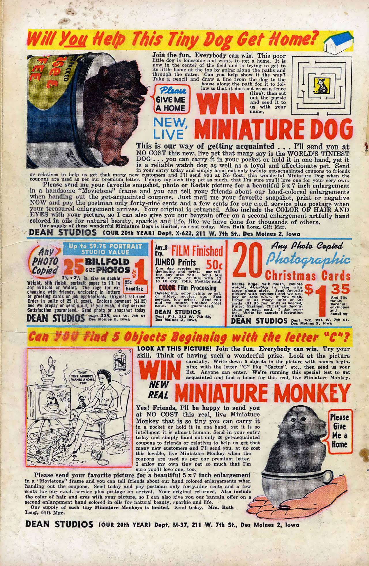 Read online Strange Tales (1951) comic -  Issue #70 - 35