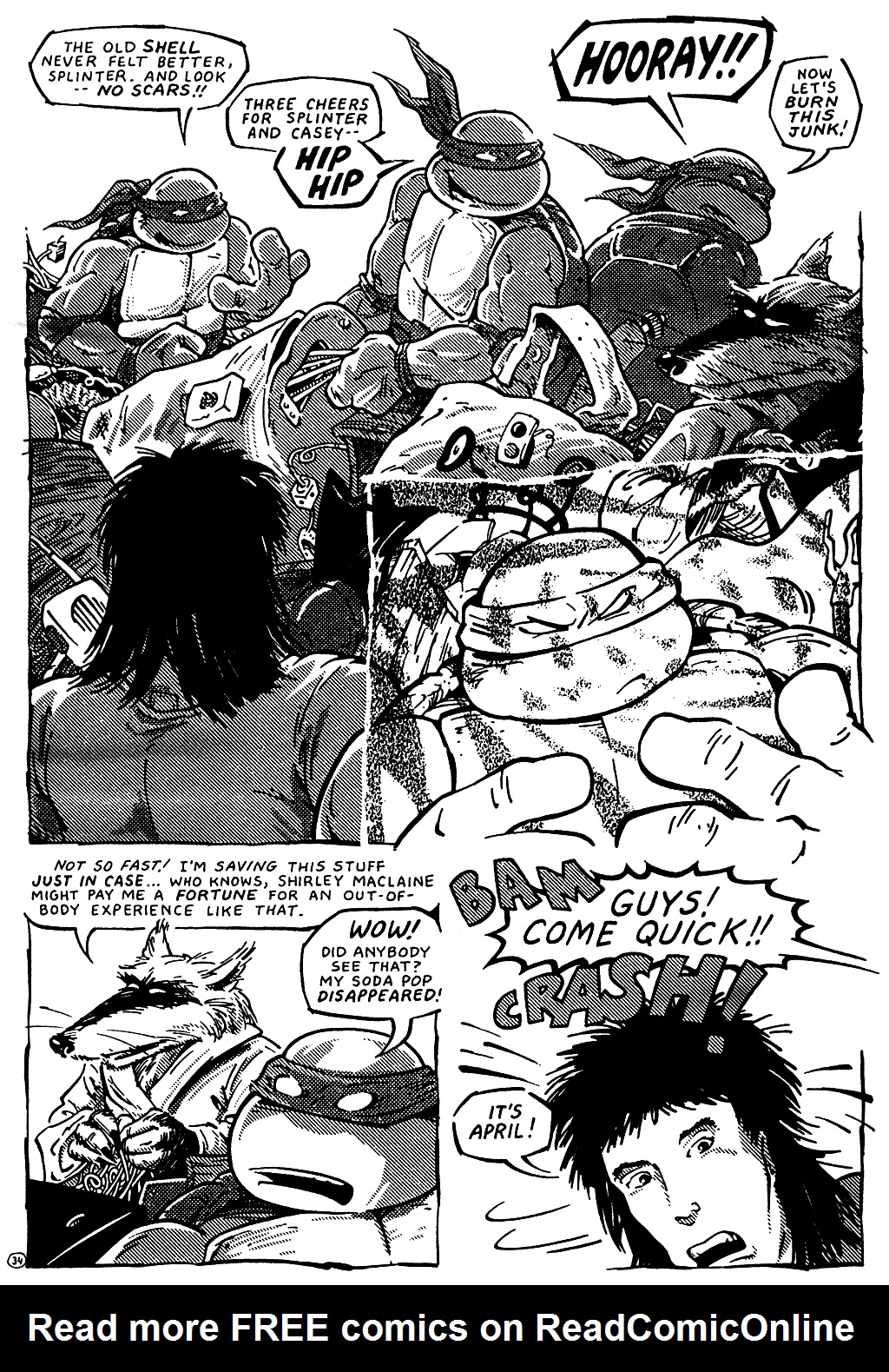 Teenage Mutant Ninja Turtles (1984) Issue #22 #22 - English 34