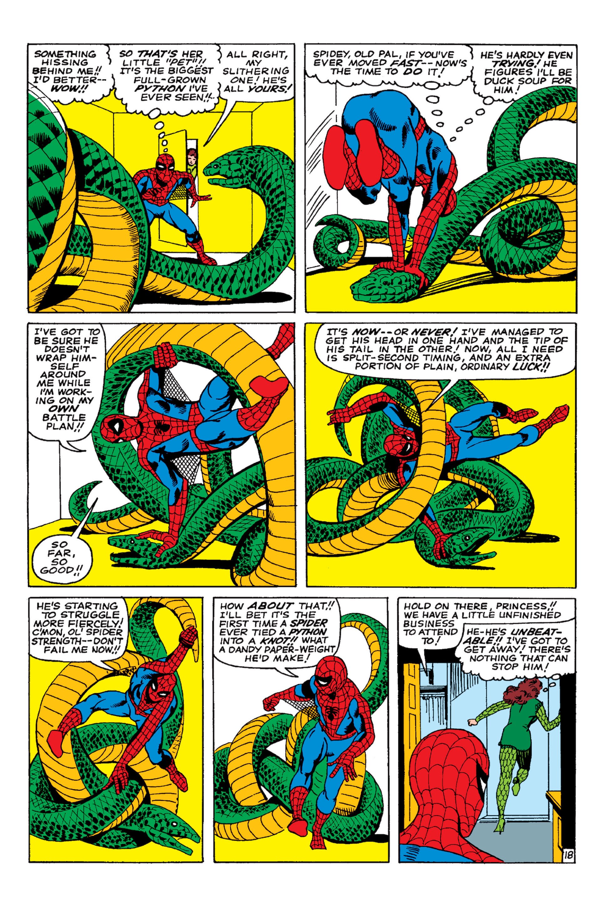 Read online The Amazing Spider-Man (1963) comic -  Issue #22 - 19