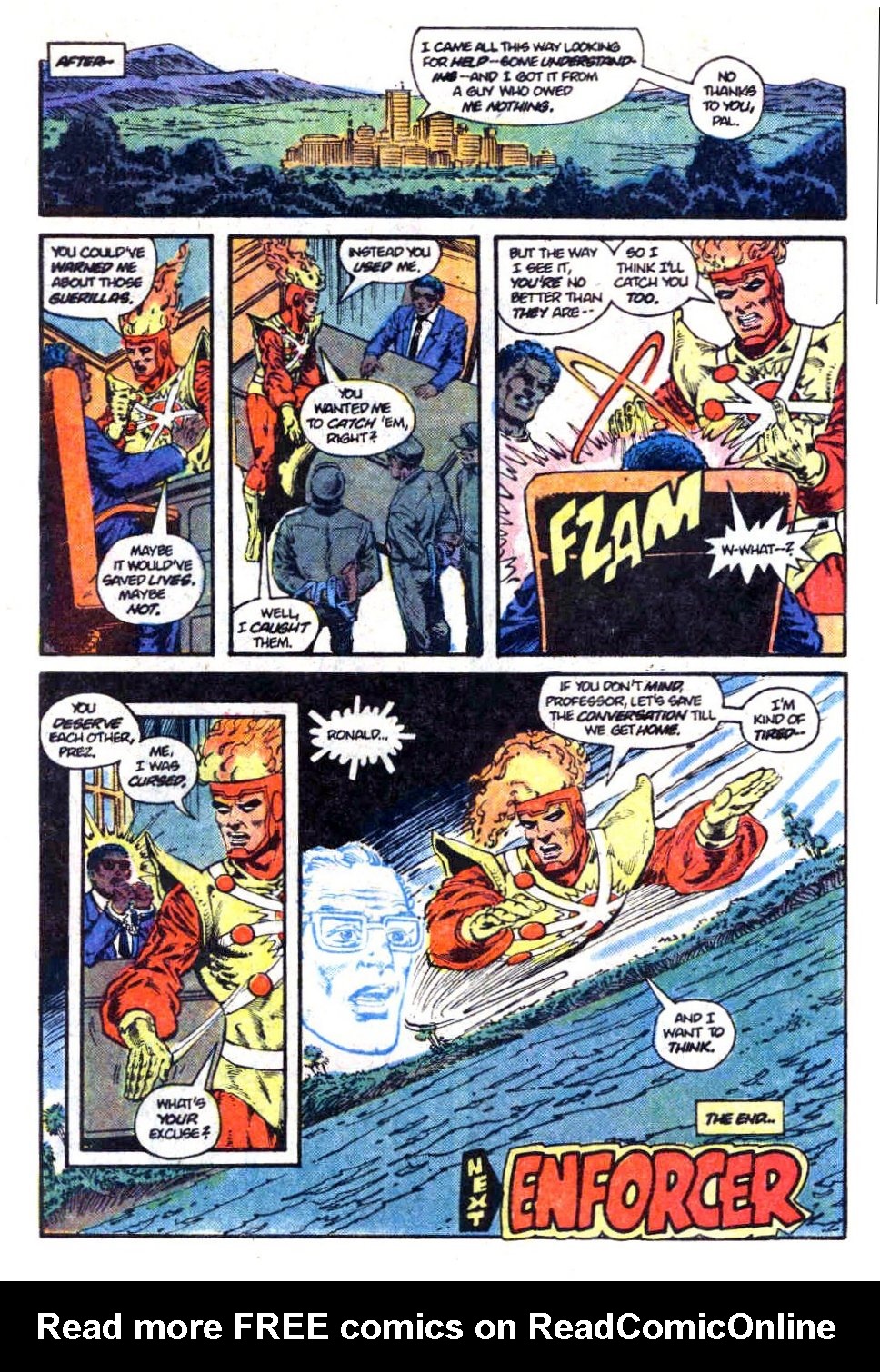The Fury of Firestorm Issue #13 #17 - English 24