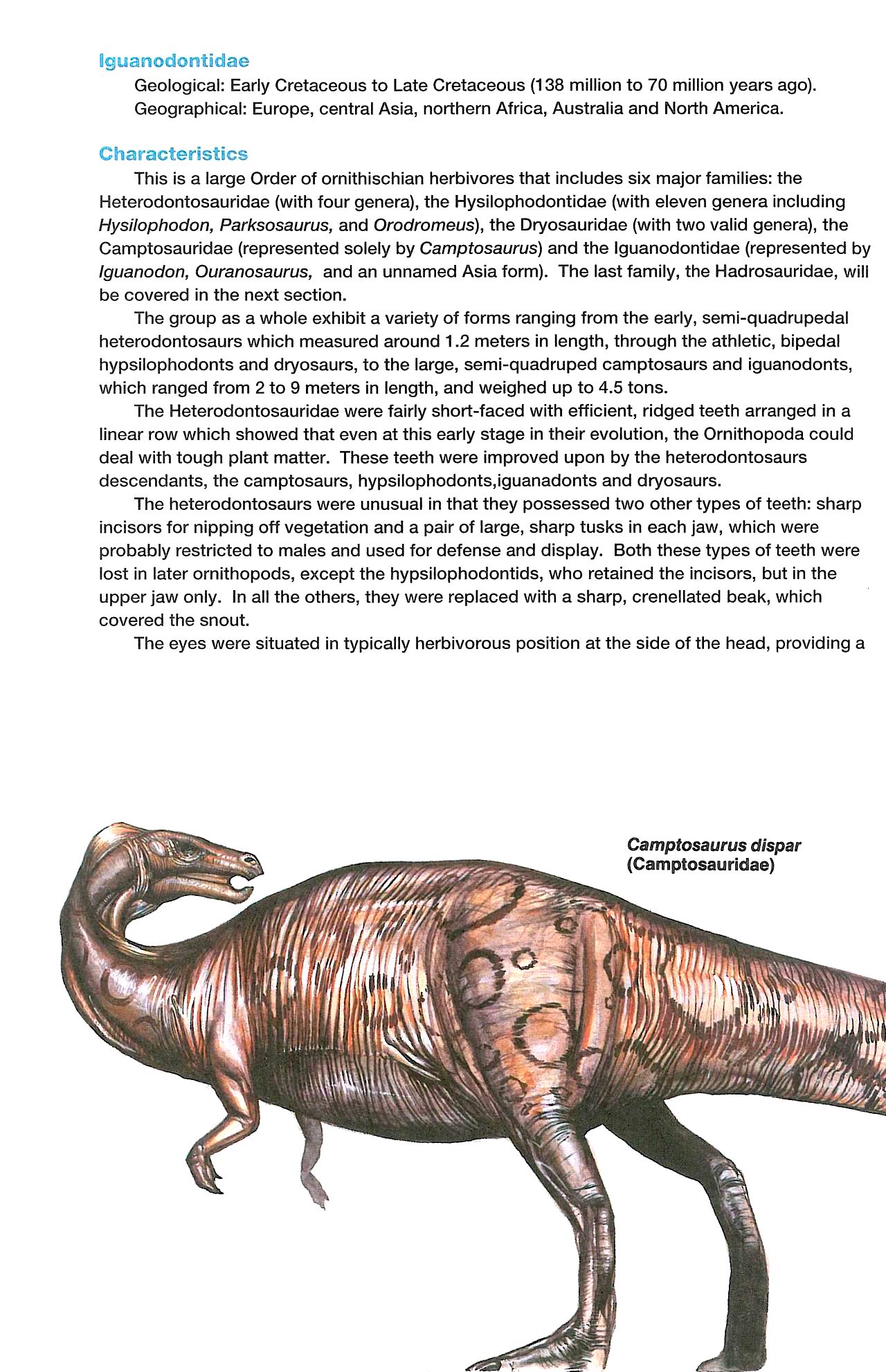 Read online Dinosaurs, A Celebration comic -  Issue #3 - 13
