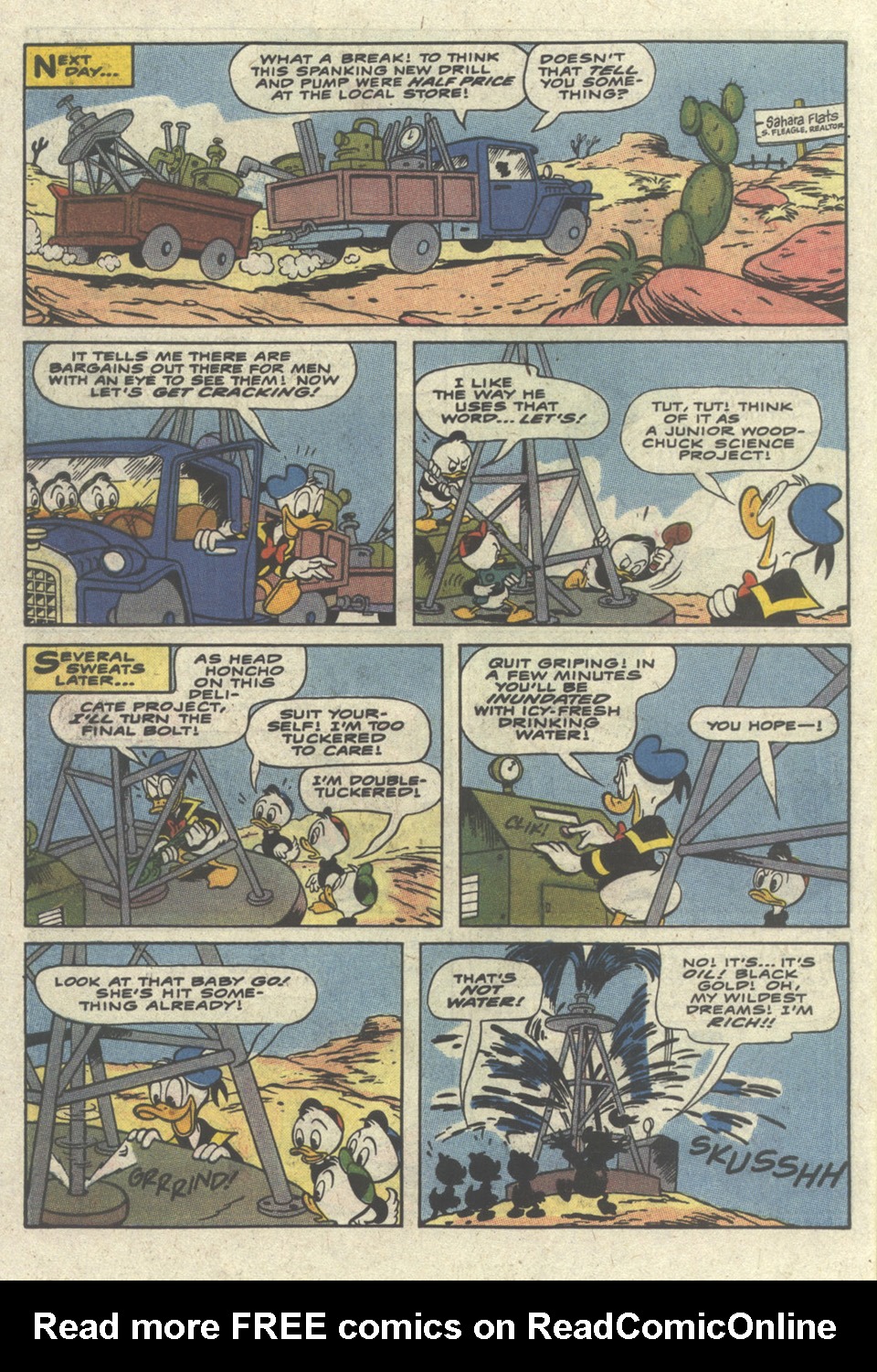 Read online Walt Disney's Donald Duck (1986) comic -  Issue #270 - 30
