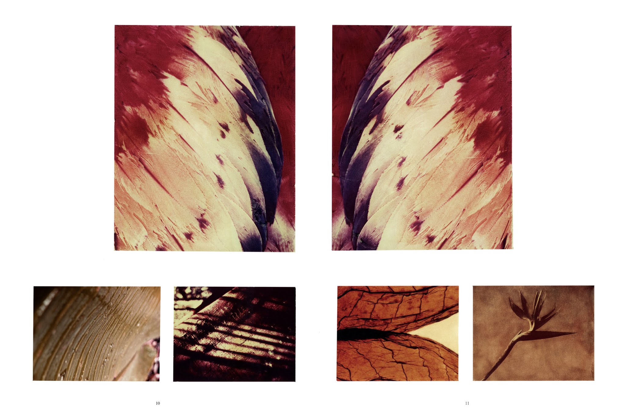 Read online Corto Maltese comic -  Issue # TPB 5 - 10