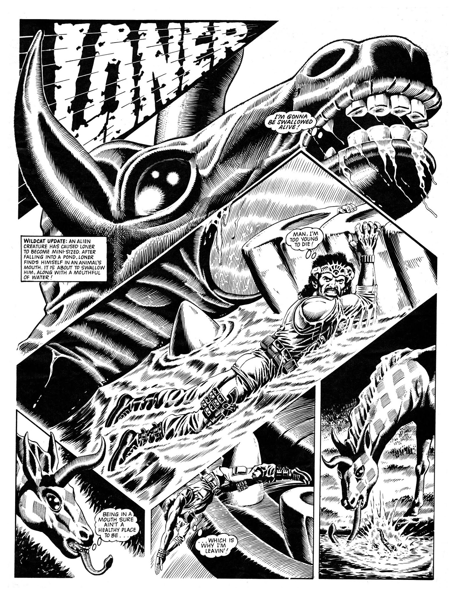 Read online Wildcat comic -  Issue #11 - 11
