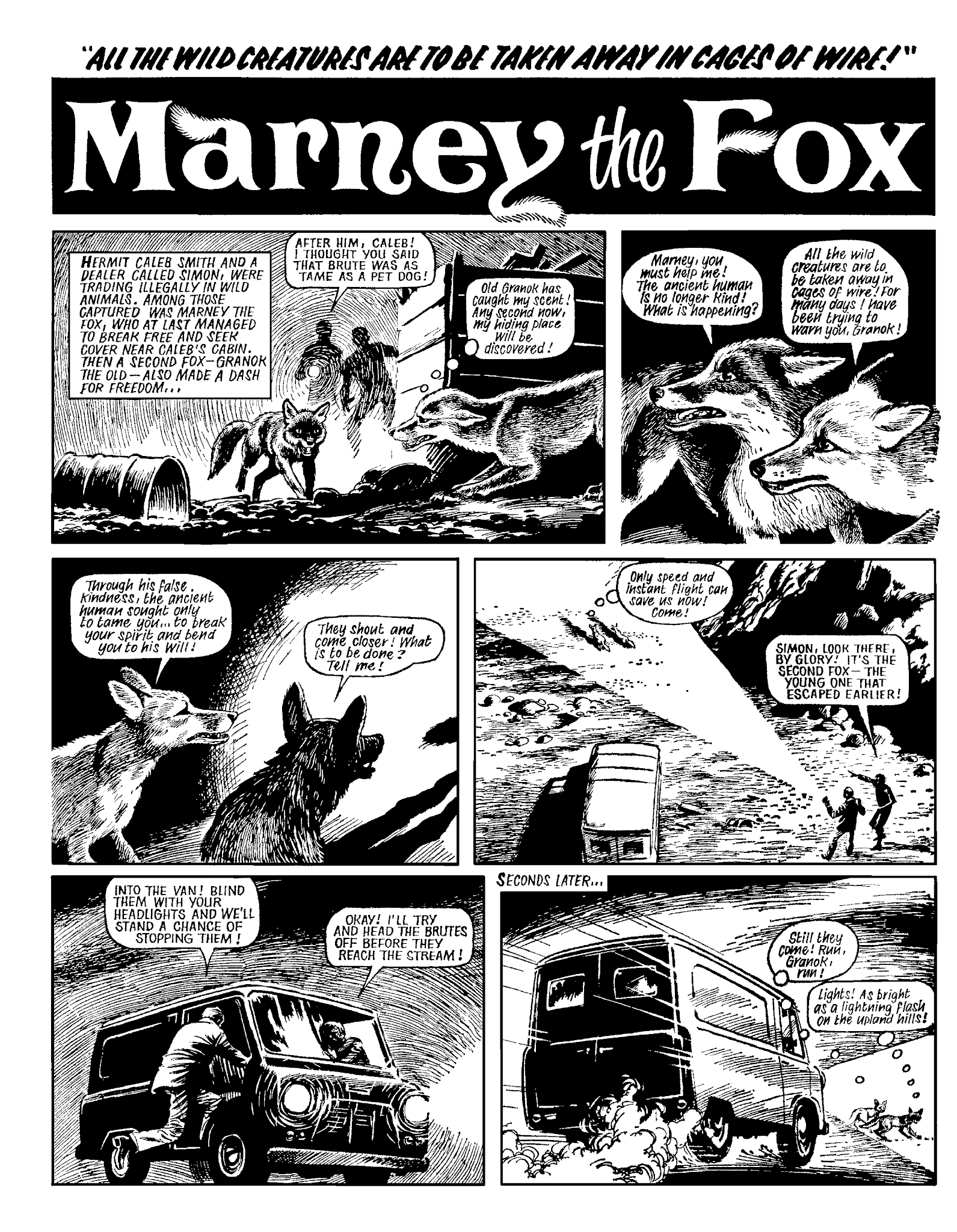 Read online Marney the Fox comic -  Issue # TPB (Part 2) - 112