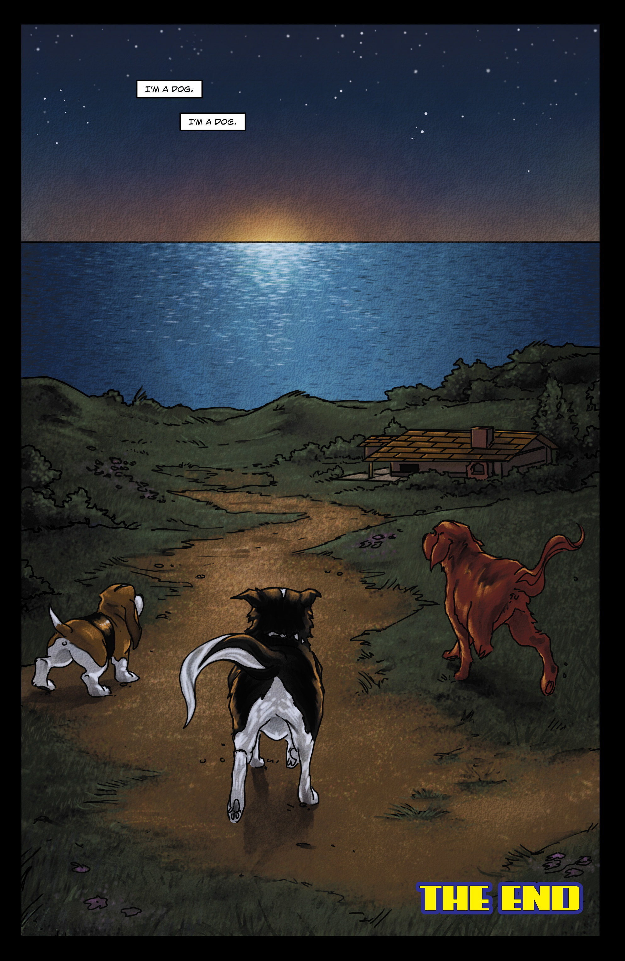 Read online Rover Red Charlie comic -  Issue #6 - 38