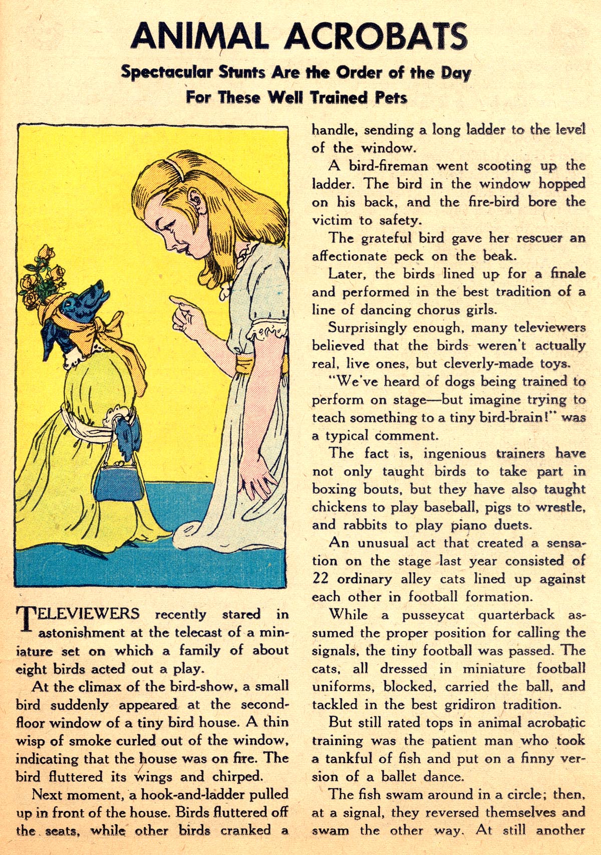 Read online Adventure Comics (1938) comic -  Issue #216 - 25