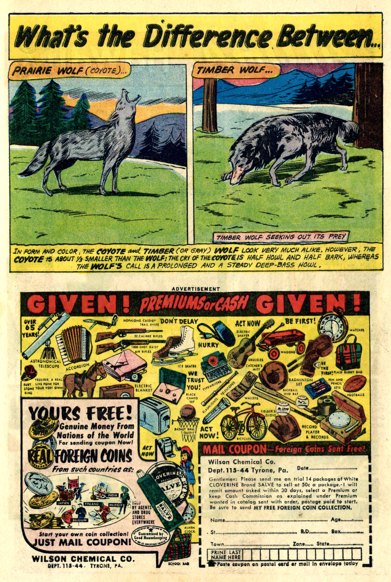 Read online The Brave and the Bold (1955) comic -  Issue #29 - 9