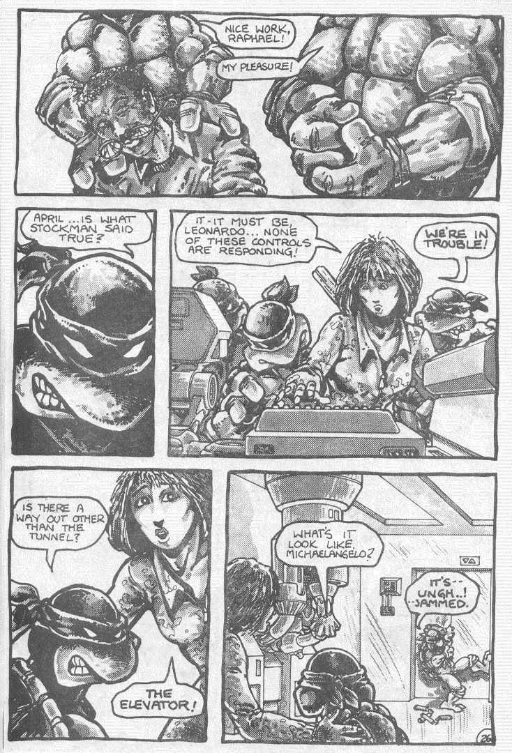 Teenage Mutant Ninja Turtles (1984) Issue #2 #2 - English 28