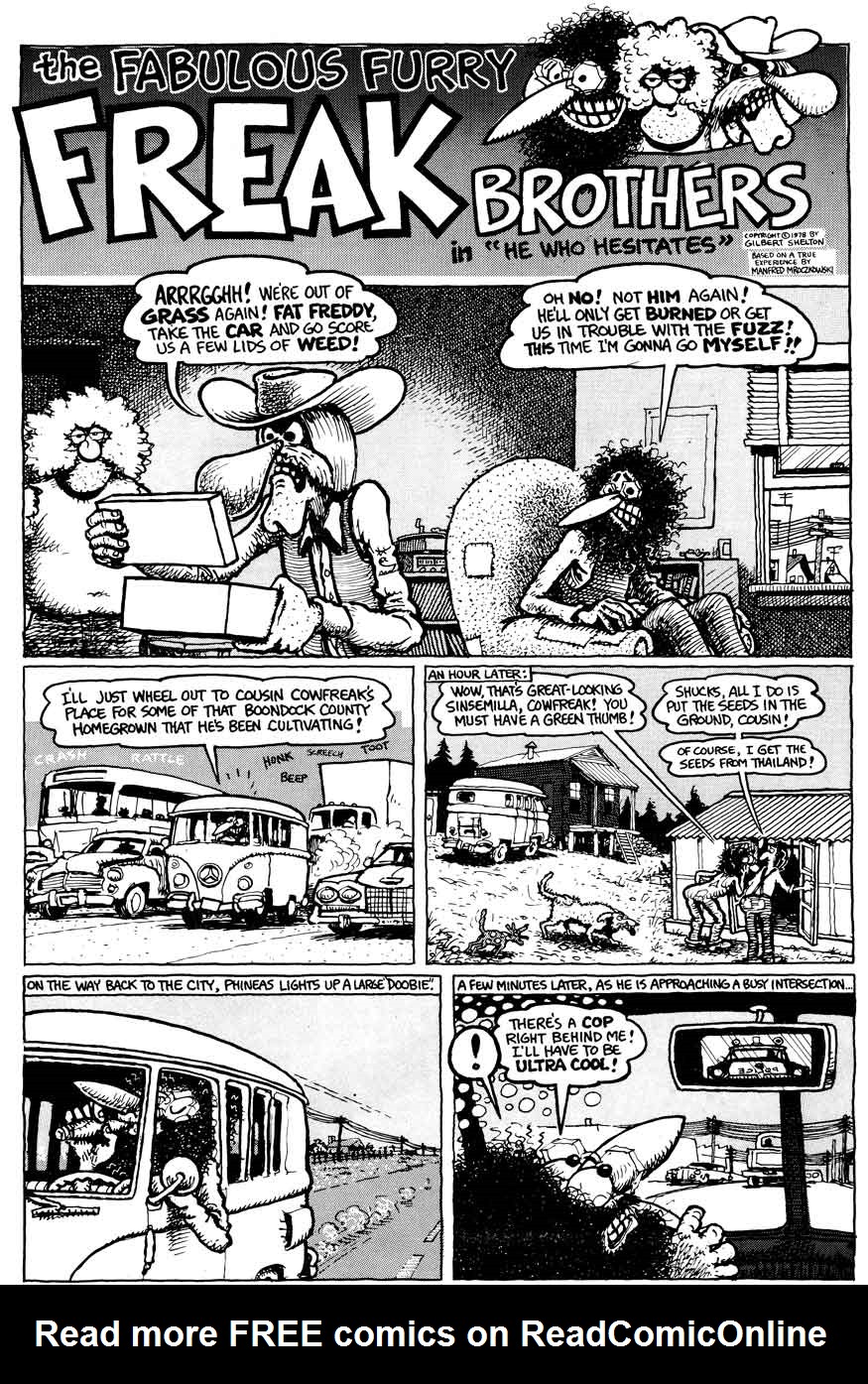Read online The Fabulous Furry Freak Brothers comic -  Issue #6 - 24