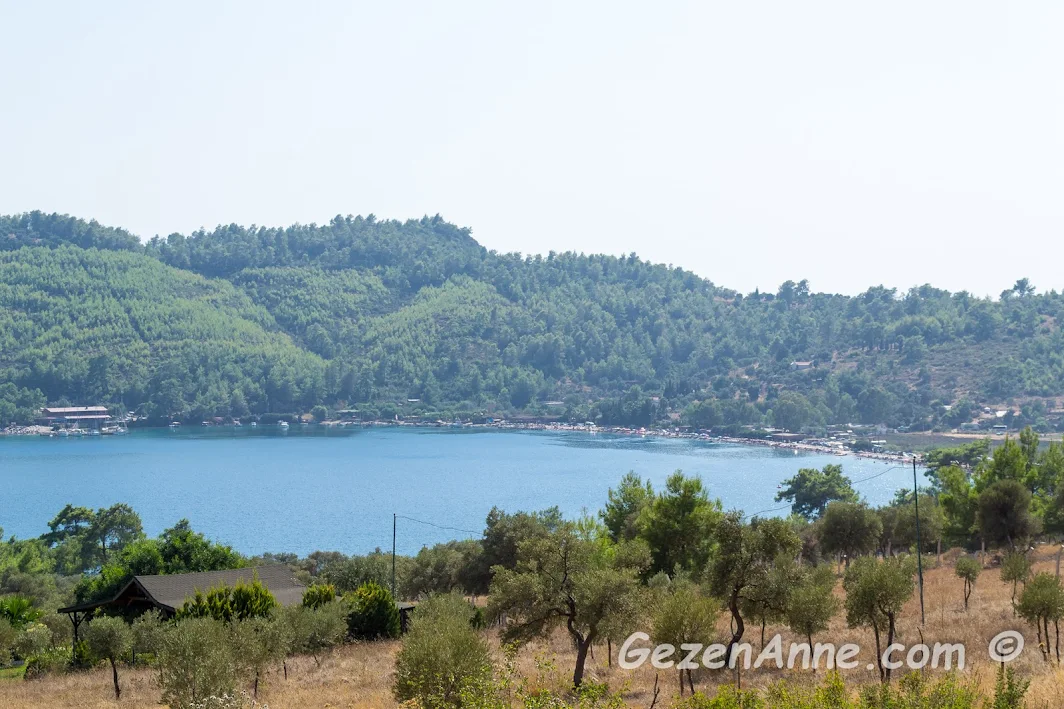 çam ormanları ve zeytinlikler ile çevrili Akbük koyu, Akyaka Muğla