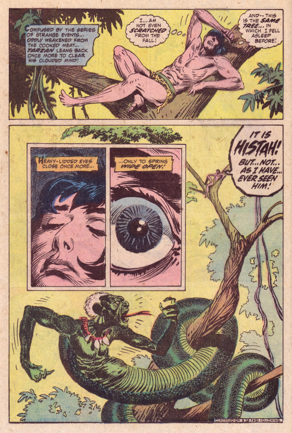 Read online Tarzan (1972) comic -  Issue #257 - 10