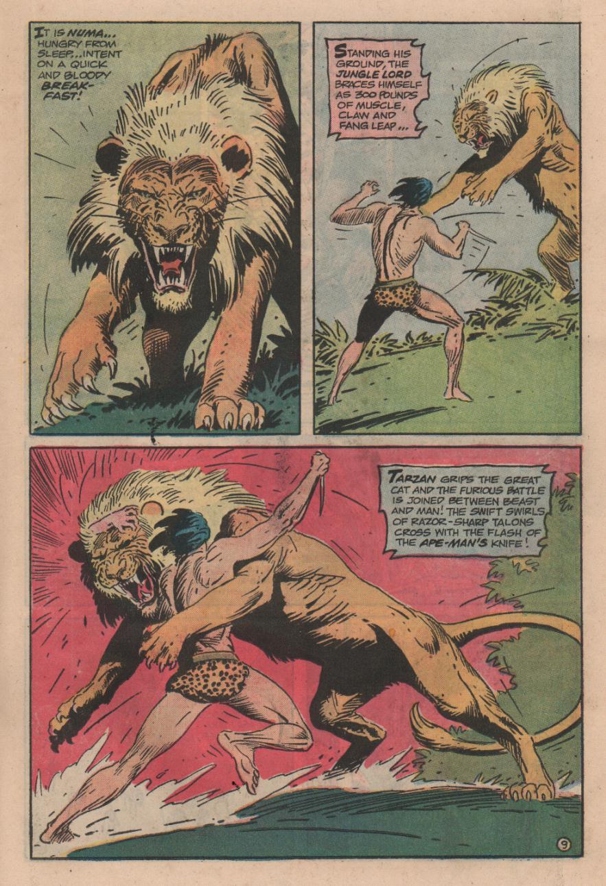 Read online Tarzan (1972) comic -  Issue #225 - 10