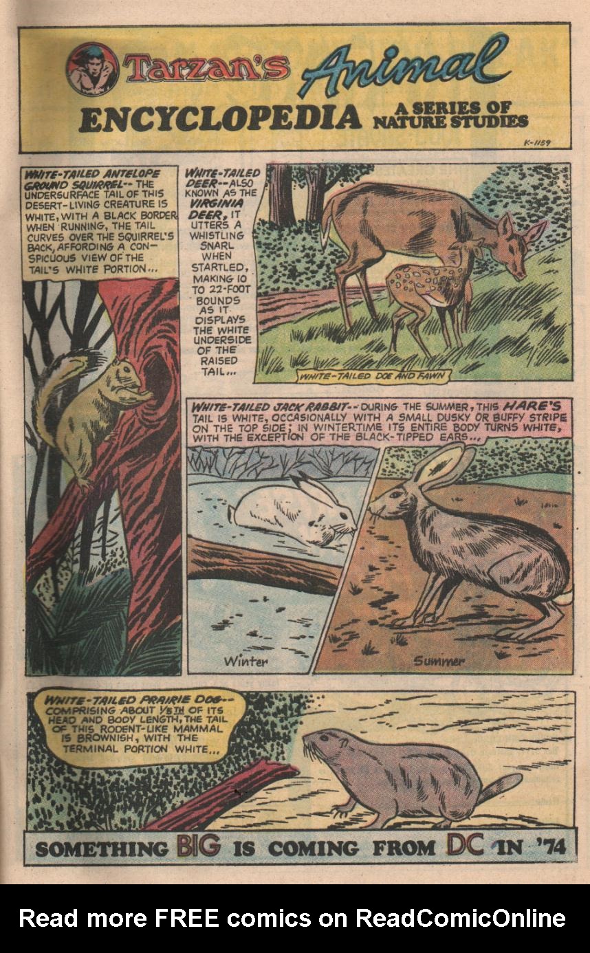 Read online Tarzan (1972) comic -  Issue #226 - 23