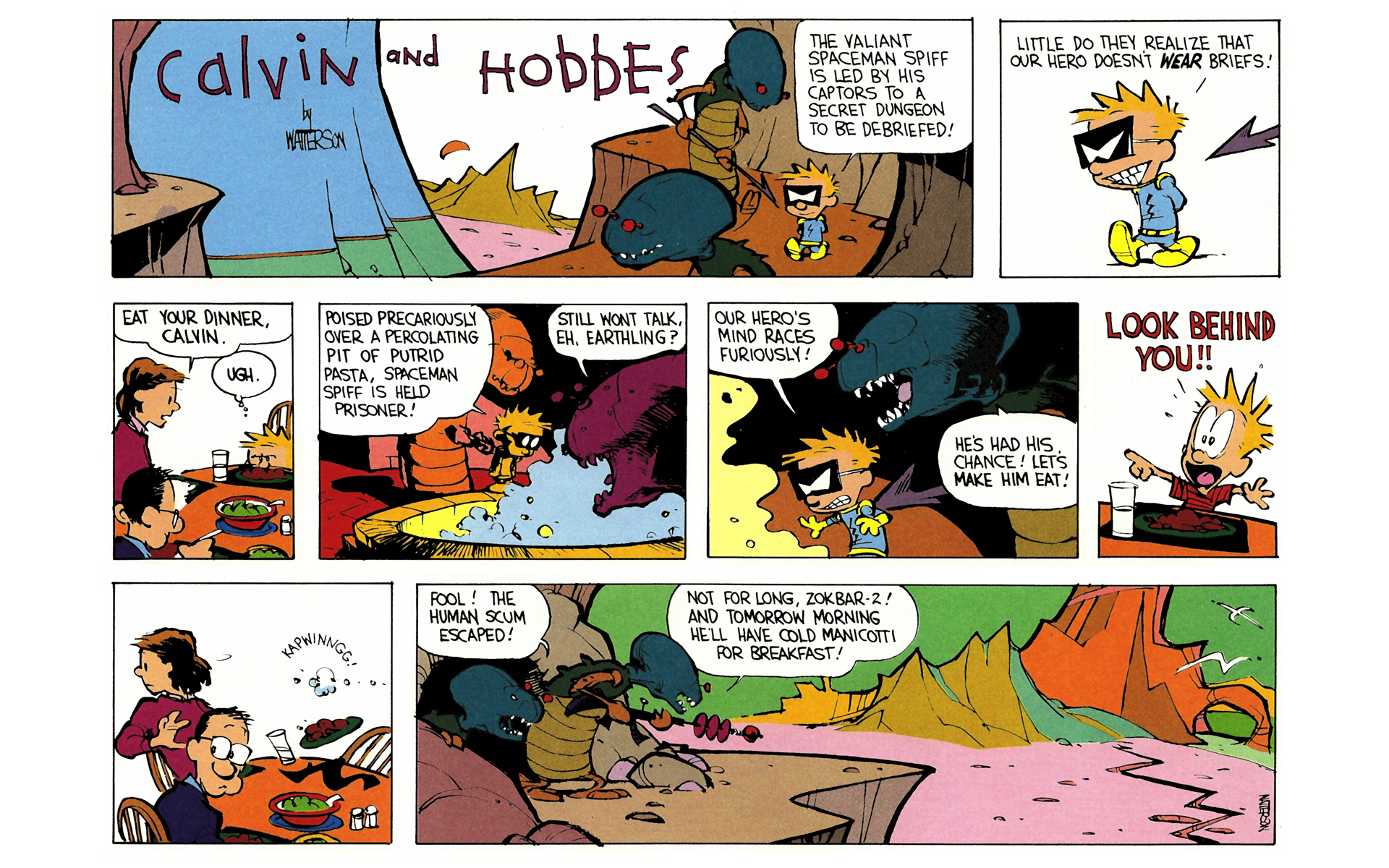 Read online Calvin and Hobbes comic -  Issue #5 - 41