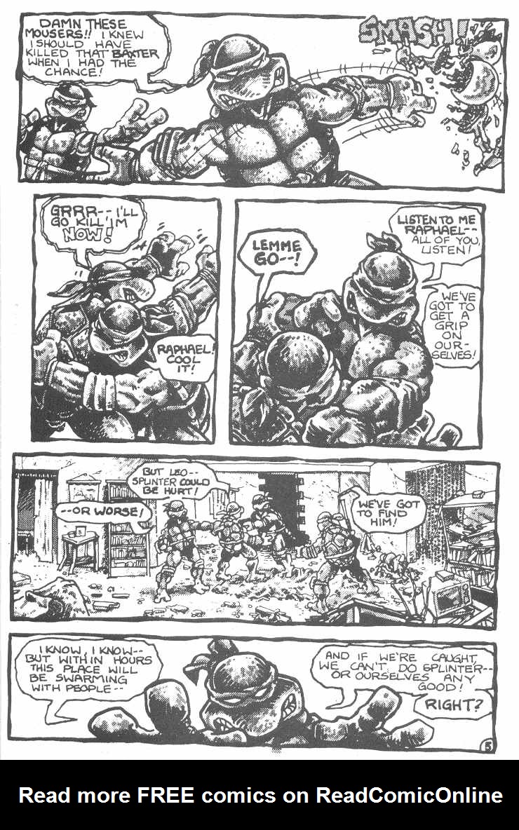 Teenage Mutant Ninja Turtles (1984) Issue #3 #3 - English 8