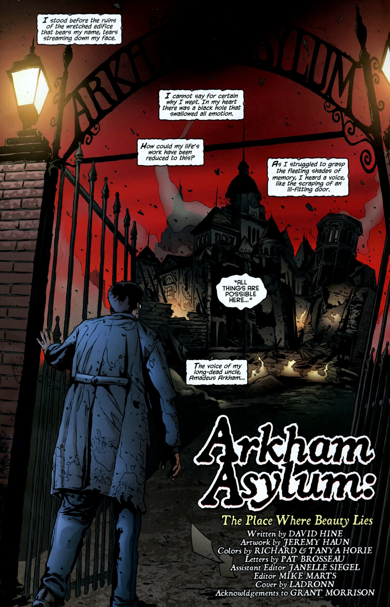 Read online Batman: Battle for the Cowl: Arkham Asylum comic -  Issue # Full - 2