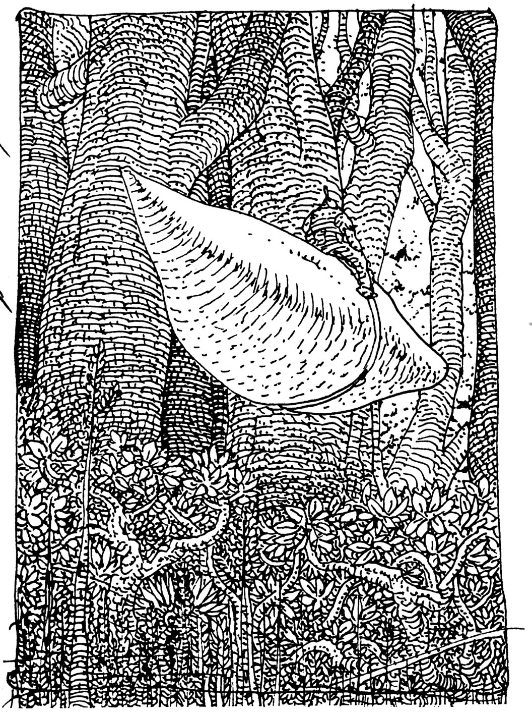 Read online The Art of Moebius comic -  Issue # TPB (Part 2) - 54