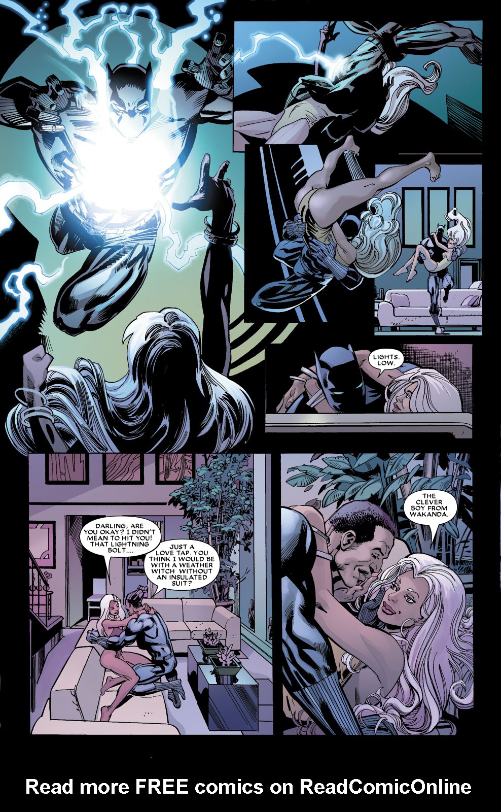 Read online Black Panther (2005) comic -  Issue #17 - 14