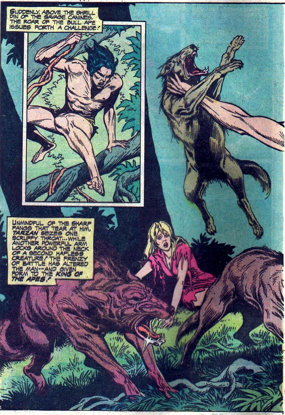 Read online Tarzan (1972) comic -  Issue #243 - 3
