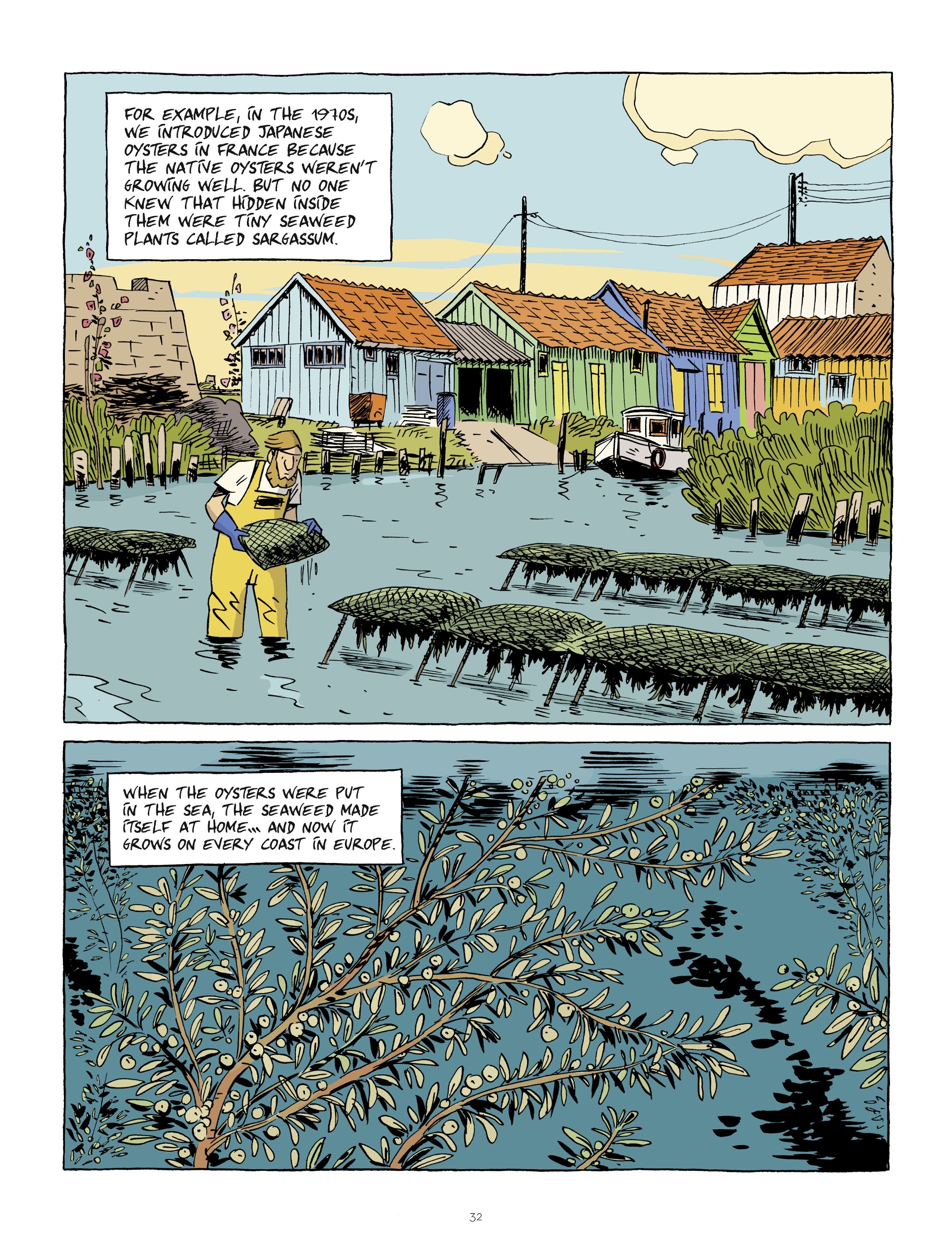 Read online Hubert Reeves Explains comic -  Issue #1 - 32
