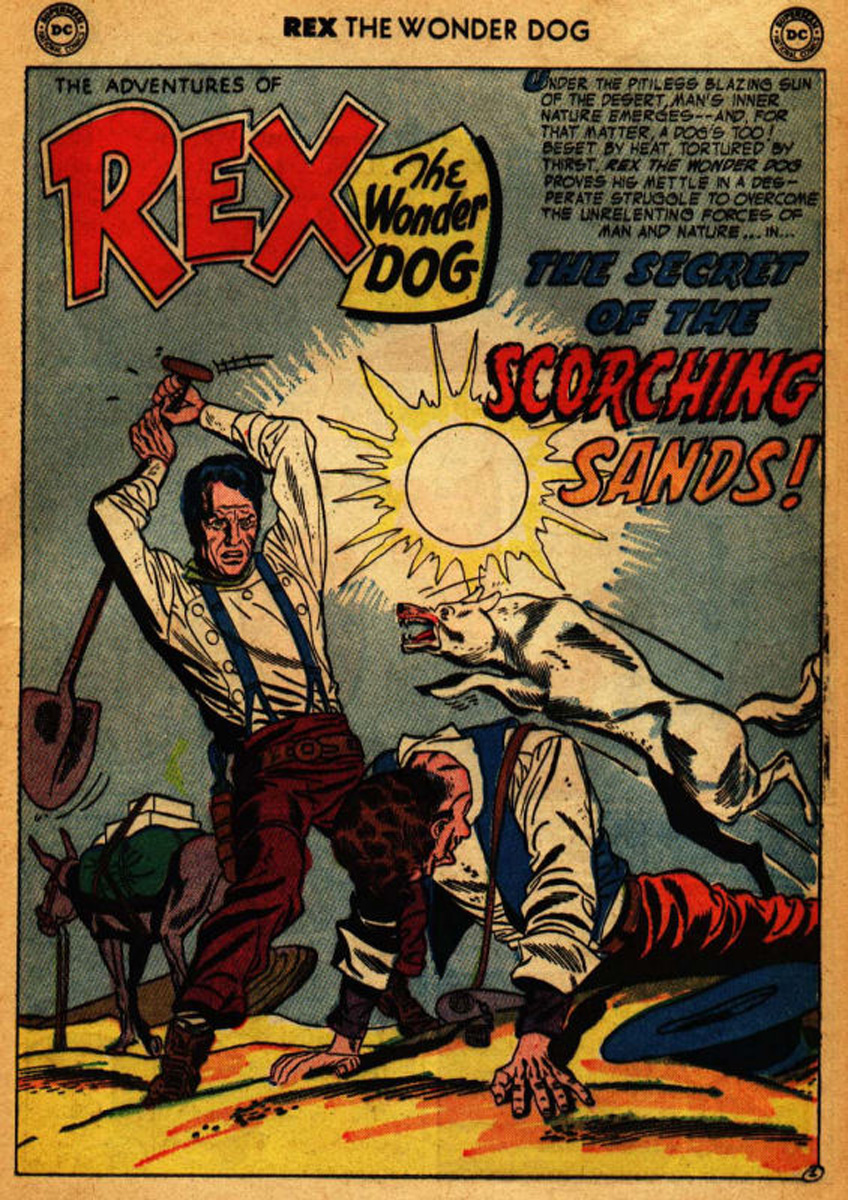 Read online The Adventures of Rex the Wonder Dog comic -  Issue #17 - 25