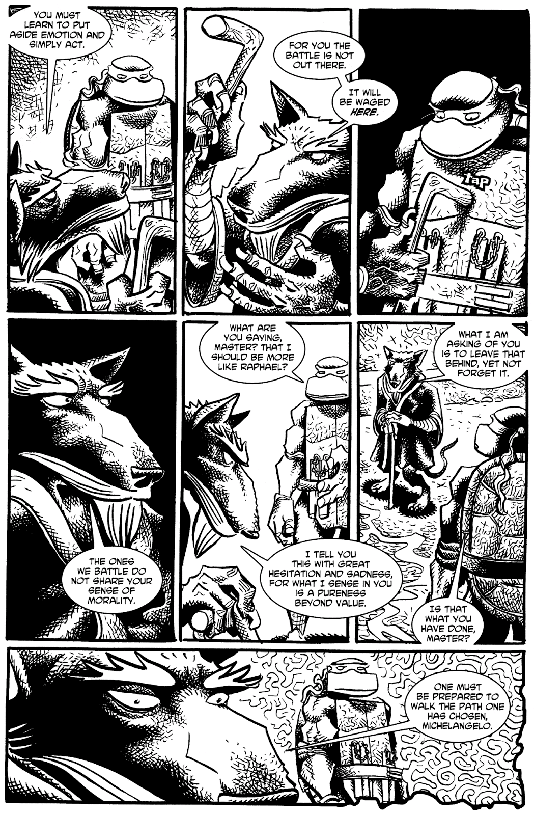 Tales of the TMNT issue 9 - Page 27