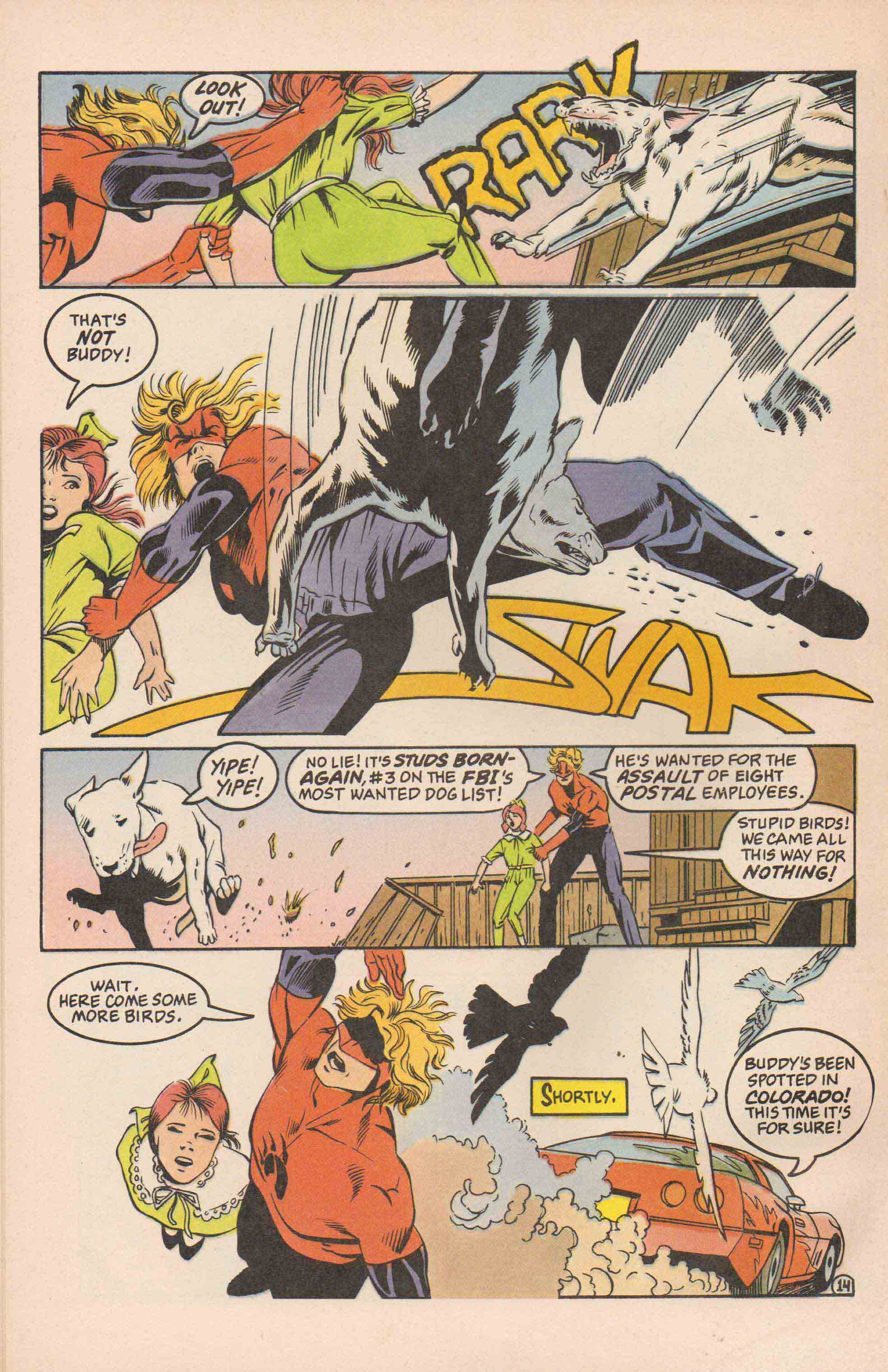 Read online The Badger comic -  Issue #39 - 17