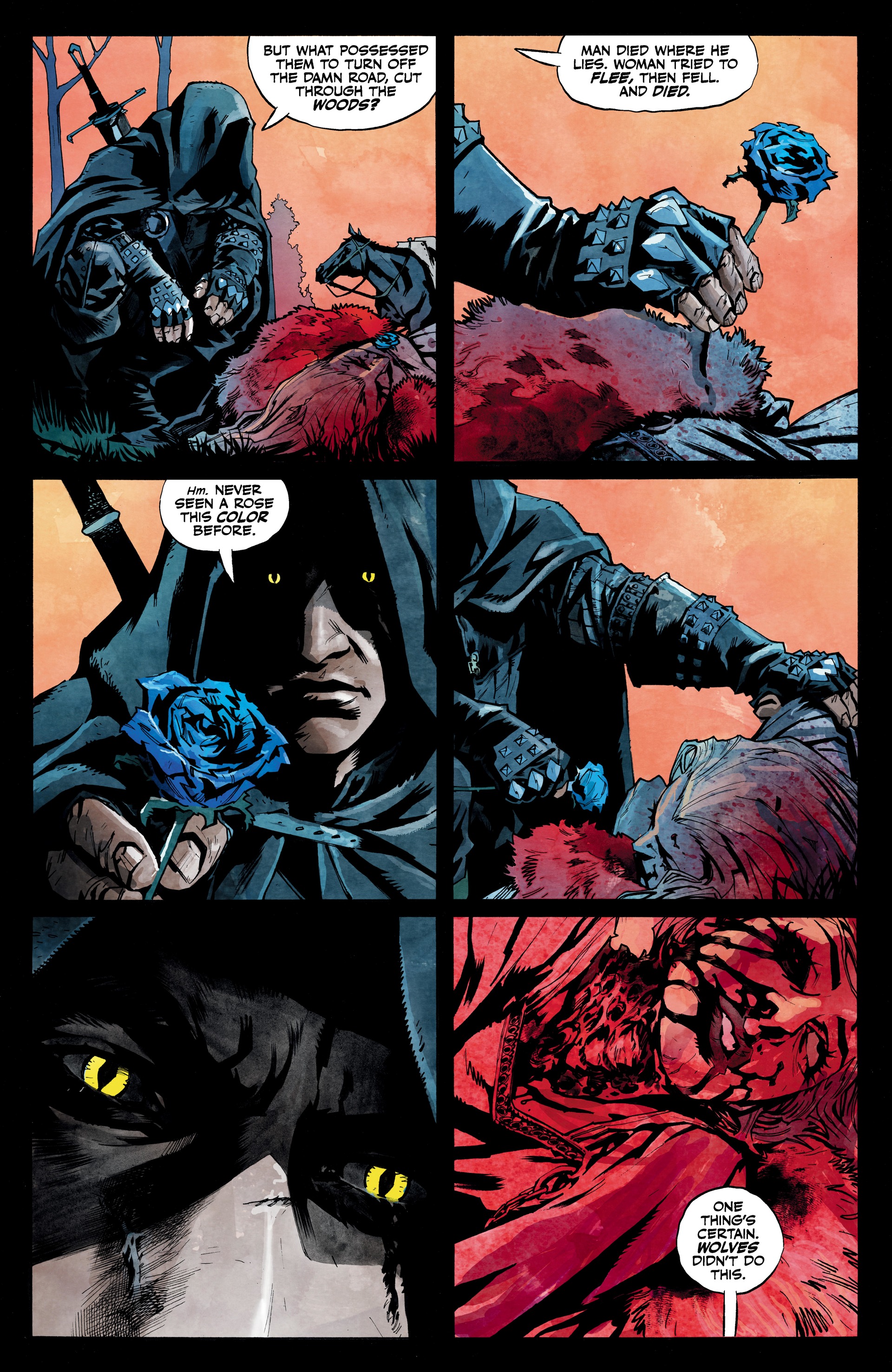 Read online The Witcher: A Grain of Truth comic -  Issue # Full - 8