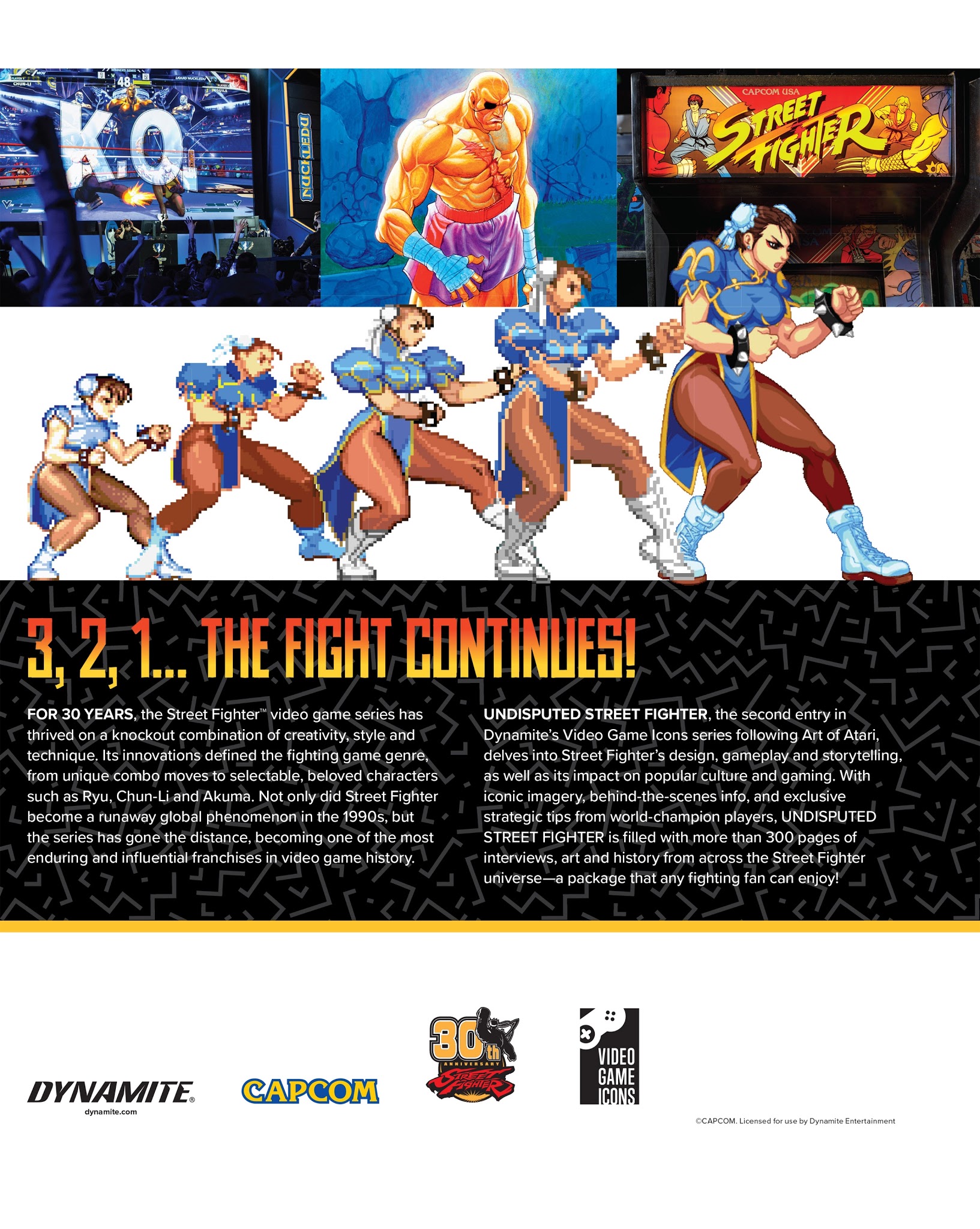 Read online Undisputed Street Fighter comic -  Issue # TPB - 279