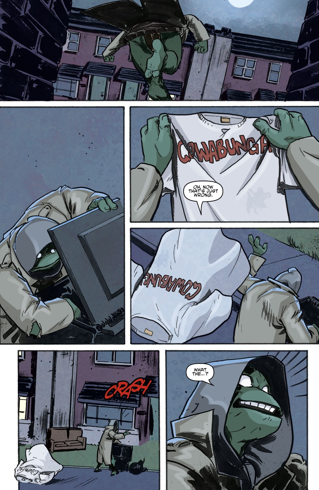 Teenage Mutant Ninja Turtles (2011) issue 1 - Page 23