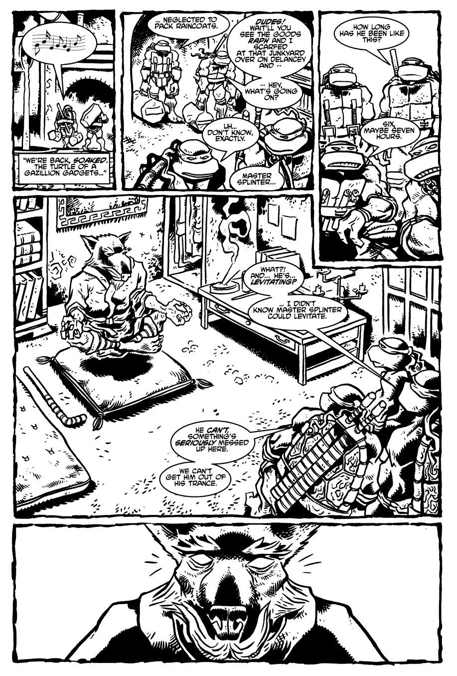 Read online TMNT: Teenage Mutant Ninja Turtles comic -  Issue #14 - 40