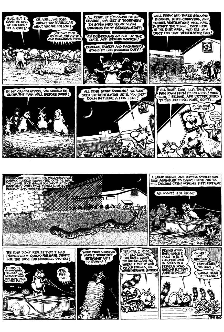 Read online The Fabulous Furry Freak Brothers comic -  Issue #5 - 9